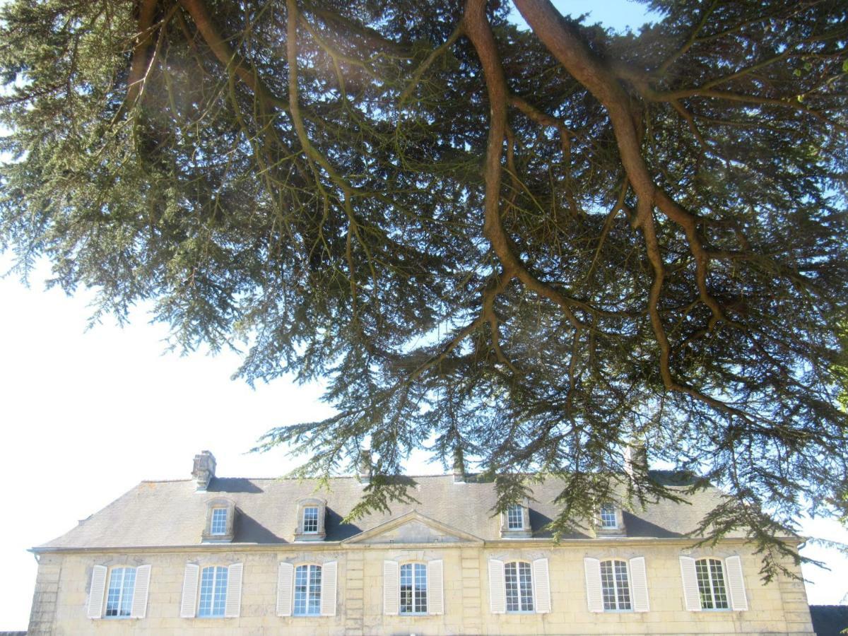 Bed&Breakfast Chateau Les Cèdres Bretteville-l'Orgueilleuse Esterno foto