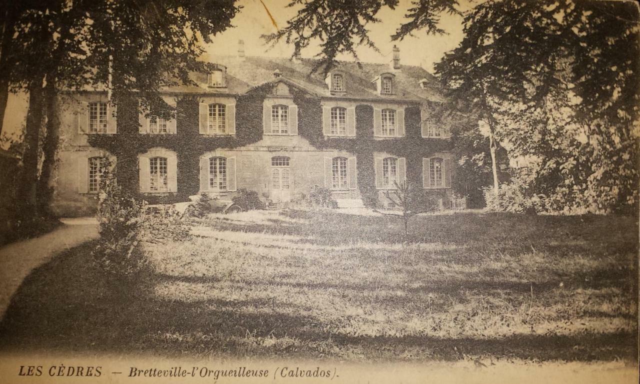 Bed&Breakfast Chateau Les Cèdres Bretteville-l'Orgueilleuse Esterno foto